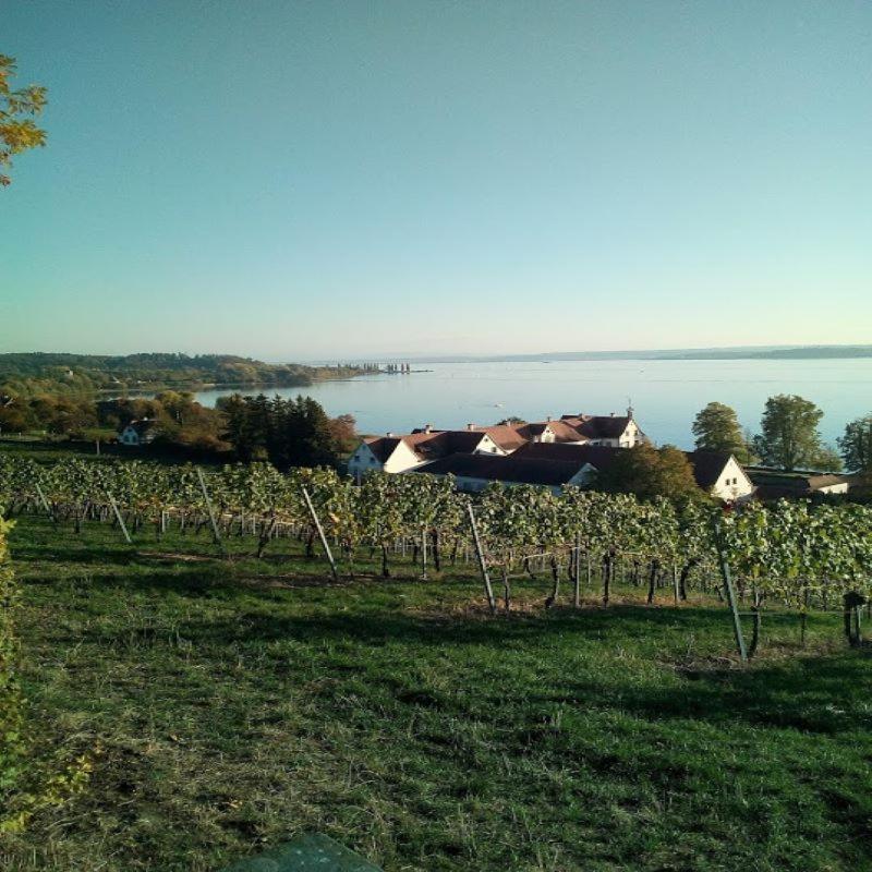 Ferienwohnung Am Bodensee ウールディンゲン・ミュールホーフェン エクステリア 写真